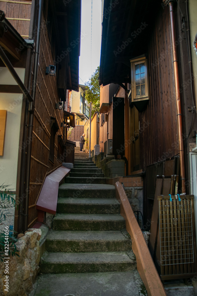 Obraz premium 有馬温泉の建物