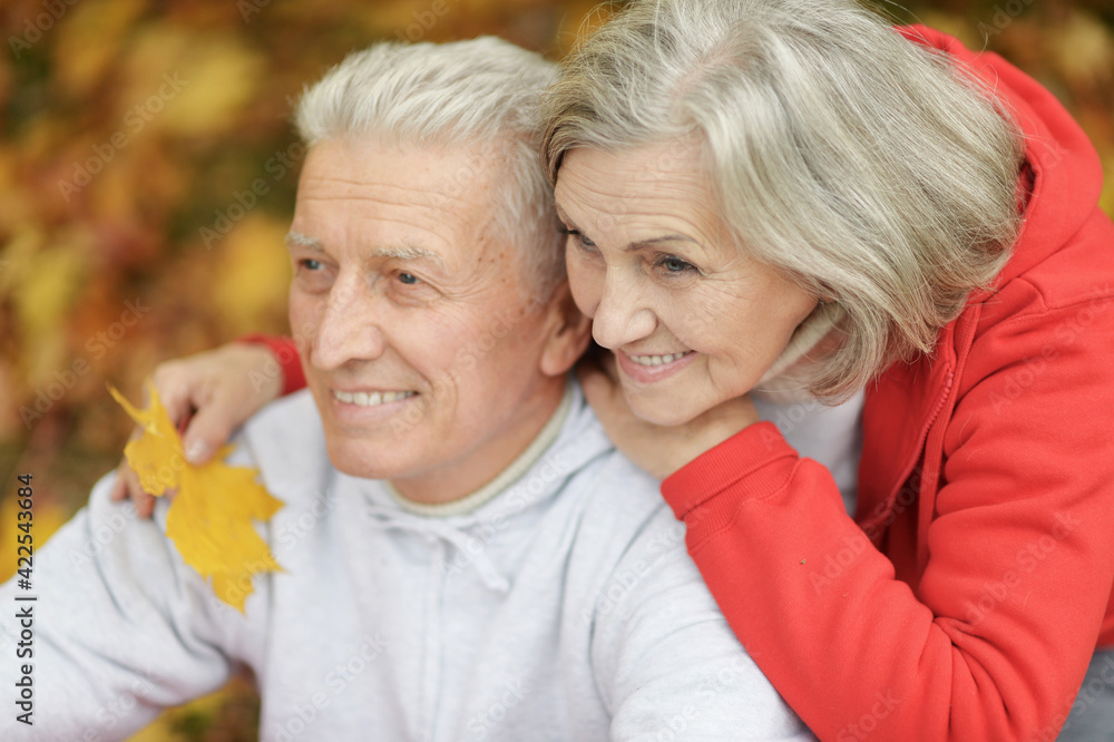 smiling senior couple in autumn park smiling senior couple in autumn park