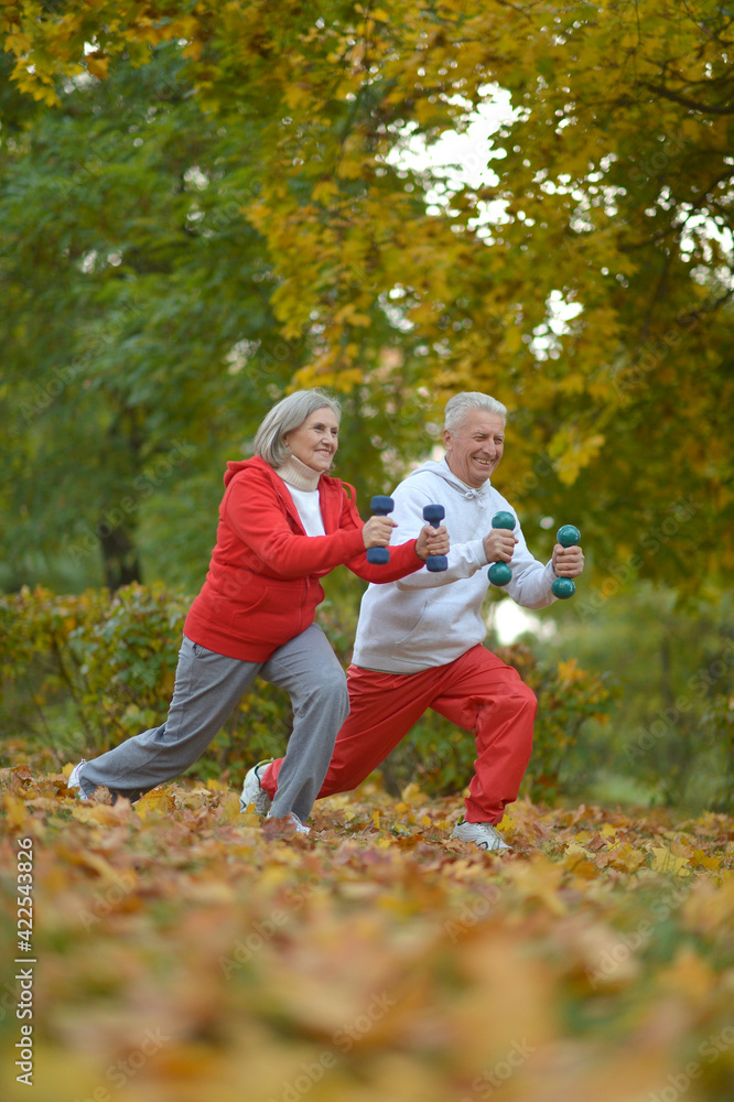 fit senior couple exercising  in park