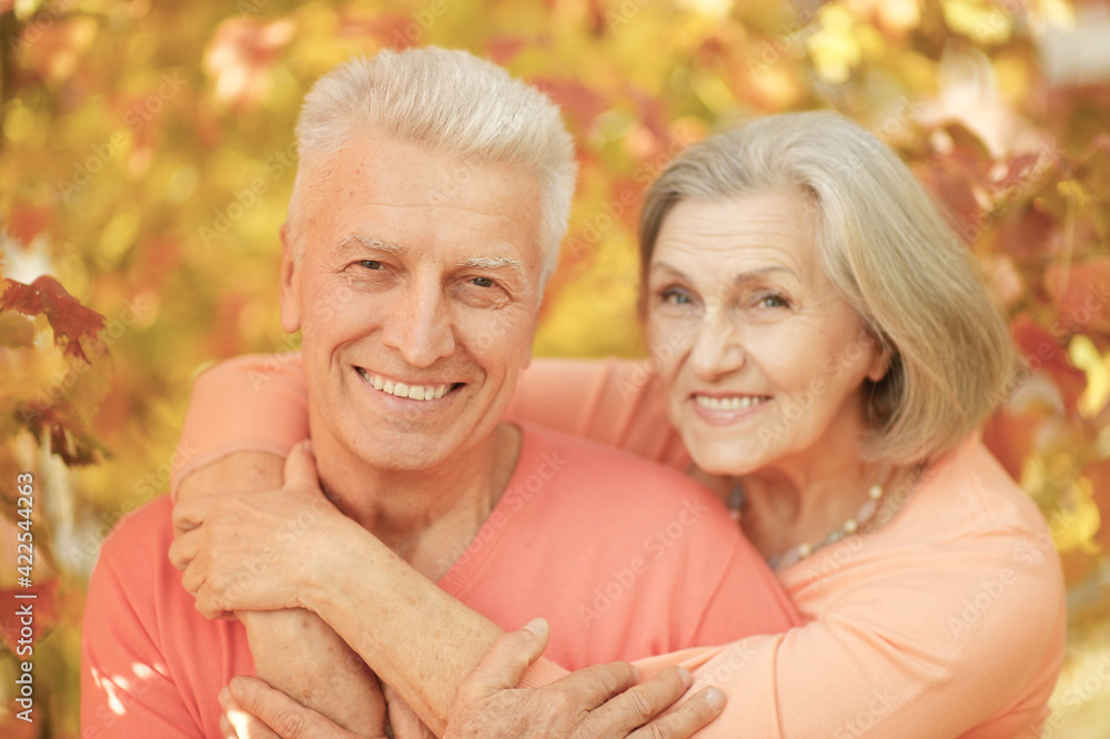portrait of beautiful senior couple hugging in the park portrait of beautiful senior couple hugging in the park