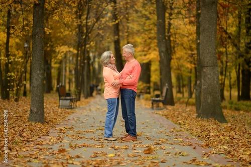 beautiful senior couple embracing   in park © aletia2011