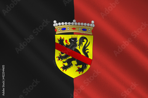 Flag of Namur in Belgium photo