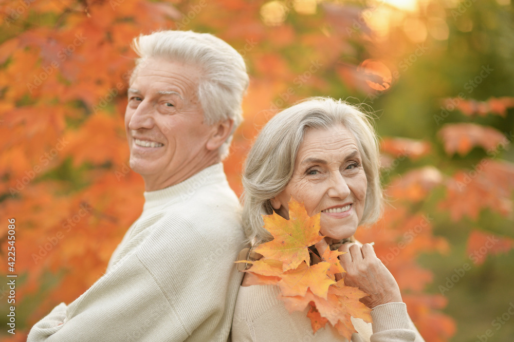 smiling senior couple embracing in autumn park back to back smiling senior couple embracing in autumn park back to back