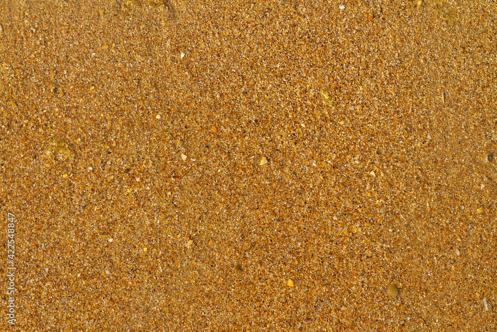 Texture of wet sea yellow coarse sand Texture of wet sea yellow coarse sand