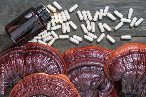 Ling zhi mushroom and capsule with bottle mockup photo