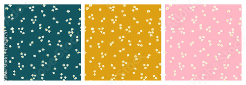 Floral pattern. set of flower patterns with daisies, small daisies on colorful backgrounds
