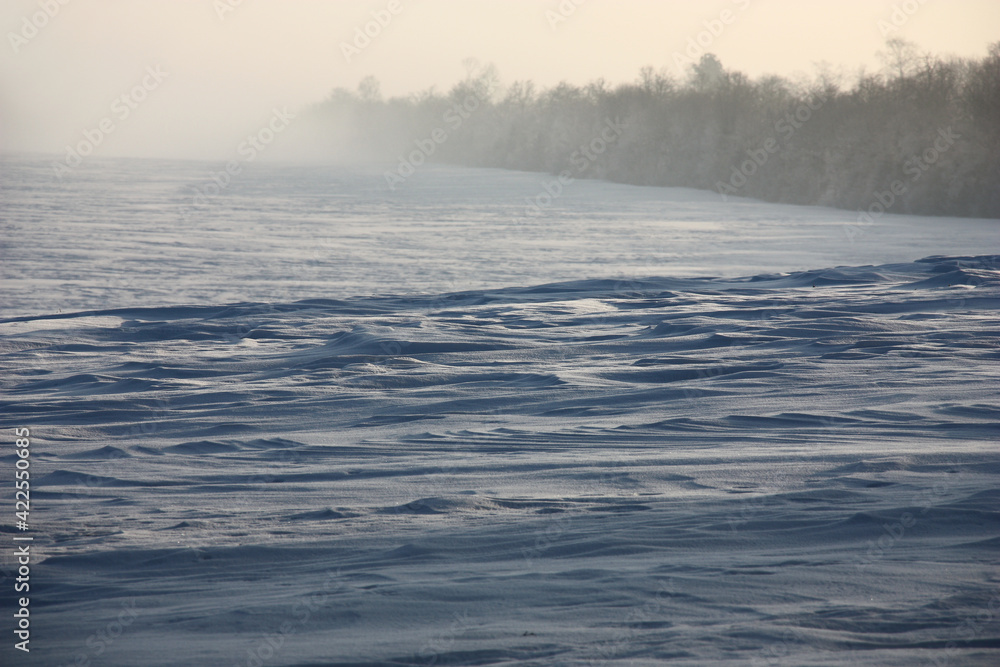 Sunny winter morning. In the field strong wind formed snow barkhans. In the distance the dark strip designated a wood contour. Sunny winter morning. In the field strong wind formed snow barkhans. In the distance the dark strip designated a wood contour.