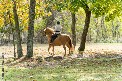 Unrecognizable wealthy woman rides horseback through a park trail gracefully past trees on a beautiful autumn day