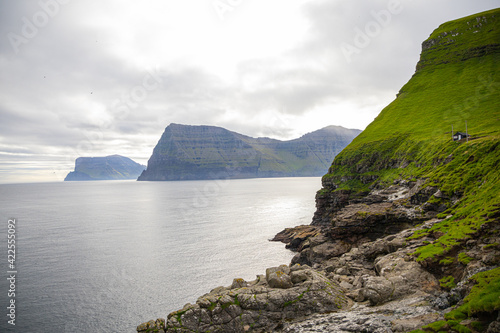 Faroe Islands - Nature - Cliff - Landscapes - Animals - Mountains
 photo