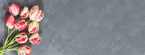 Bouquet of red and white tulips on grey background. Mother's day, Valentines Day, Birthday celebration. Banner