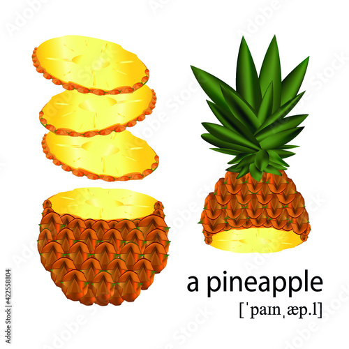 Pineapple in section and transcription