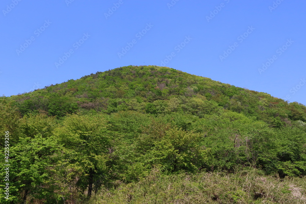 UFOふれあい館のある千貫森　（福島県福島市飯野町）