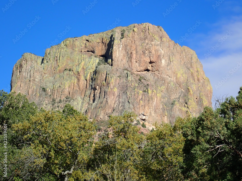 Naklejka premium Desert Landscape from Texas