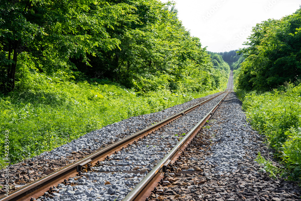 まっすぐに伸びる田舎の線路  北海道富良野市
