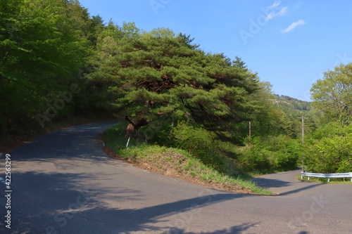 福島県道52号　土湯温泉線の急カーブ