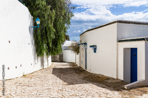 The typic for street with the white houses, blue doors and windows, Blue town in Tunisia, Sidi Bou Said, Nord Africa