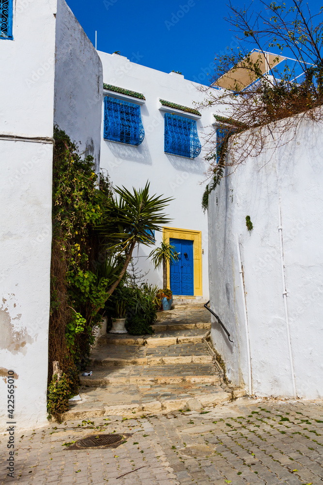 The typic for   street with the white houses, blue doors and windows, Blue town in Tunisia, Sidi Bou Said,  Nord Africa