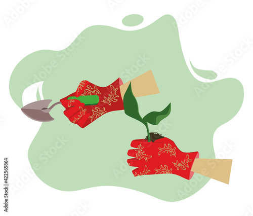 put a plant in red gloves sticker, cute illustration about gardening and caring for plants, vector for websites, icon, applications about plants gardening on a white background photo