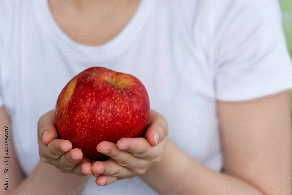 Hand hold red apple , good fruit for health concept. Hand hold red apple , good fruit for health concept.