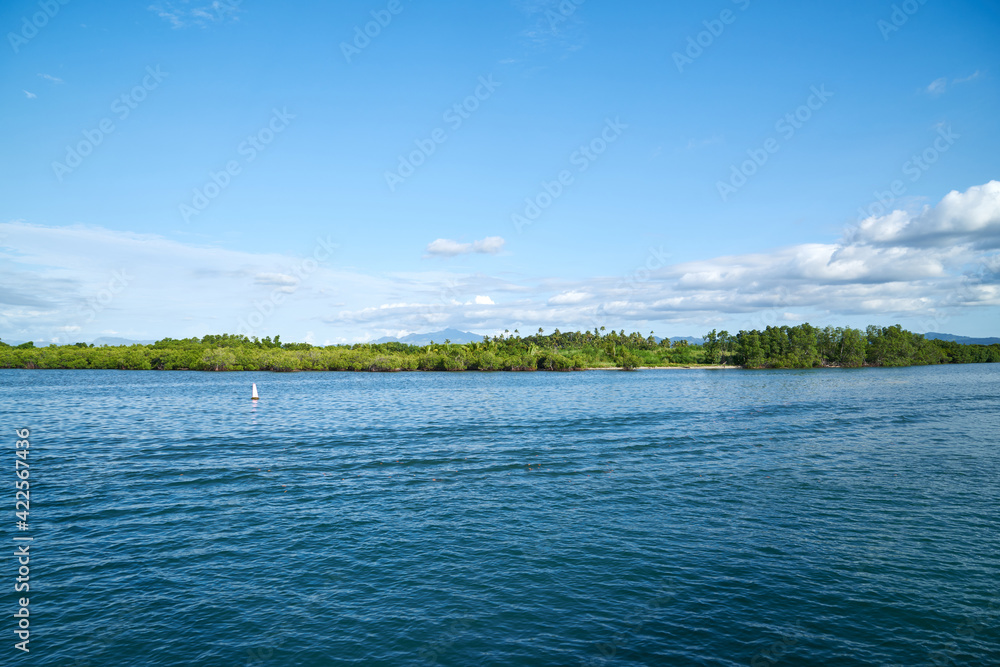 Floating mangrove forest on the sea, Fiji.
Floating mangrove forest on the sea, Fiji.
