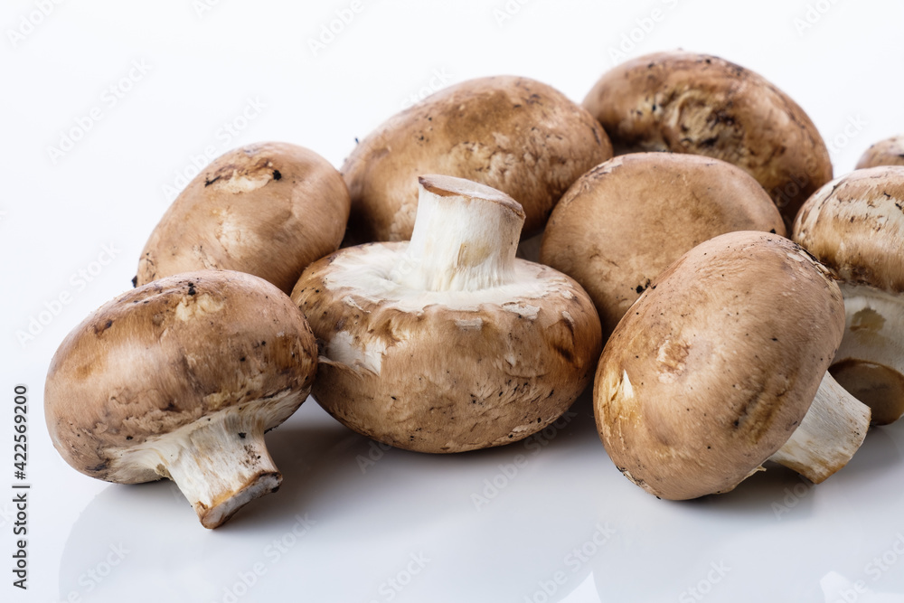 Braune Pilze / Champignongs auf einem weißen Hintergrund - von vorne betrachtet Braune Pilze / Champignongs auf einem weißen Hintergrund - von vorne betrachtet