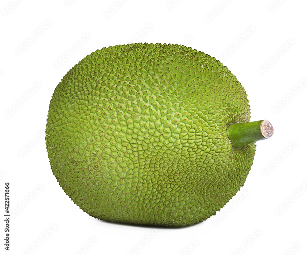 Delicious fresh exotic jackfruit isolated on white Delicious fresh exotic jackfruit isolated on white