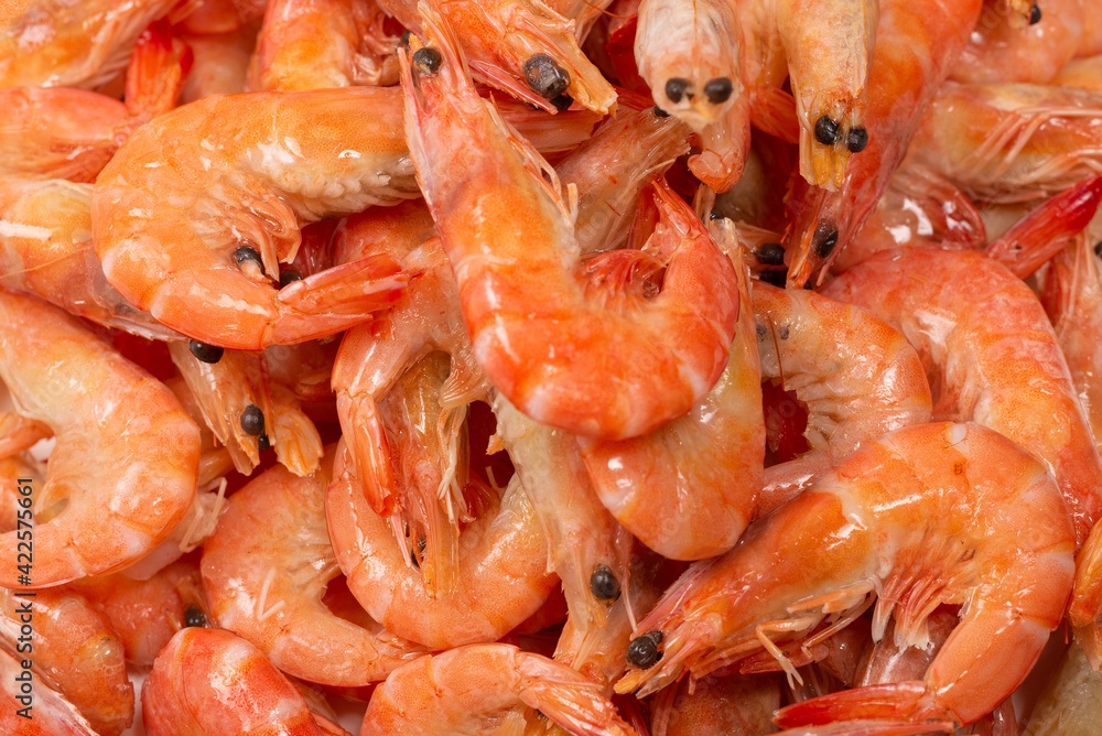 Shrimps background texture. A lot of shrimps. Cooked shrimps. Shrimps background texture. A lot of shrimps. Cooked shrimps.