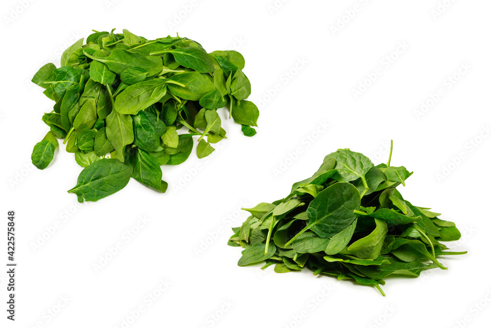 Obraz premium Fresh spinach leaves as background.