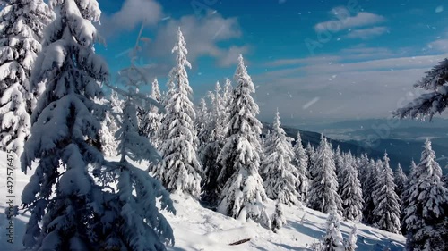 Wallpaper Mural Blue Forest Winter Nature Drone Aerial Over Icy Trees Mountain Pines Colors Torontodigital.ca