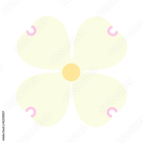 Dogwood Flower
