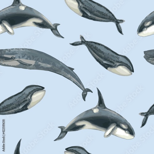 Whales killer whales dolphins underwater life animals fish. Hand drawn illustration vector set on white background realistic style sketch patern seamless