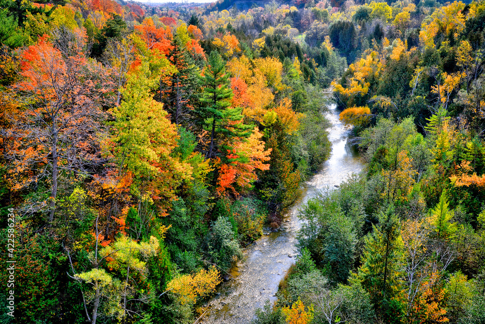 Aerial view of an autumn morning in the National Park with maple trees in Canada.
