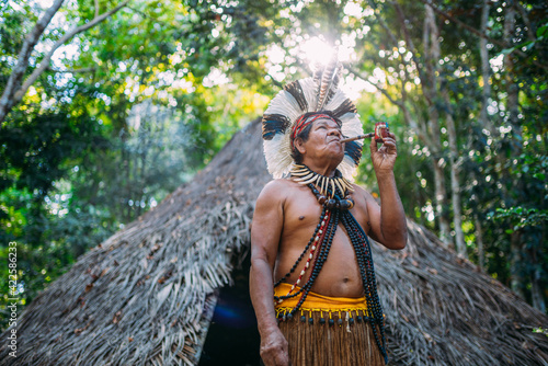 Fényképezés Shaman of the Pataxó tribe, wearing feather headdress and smoking a pipe