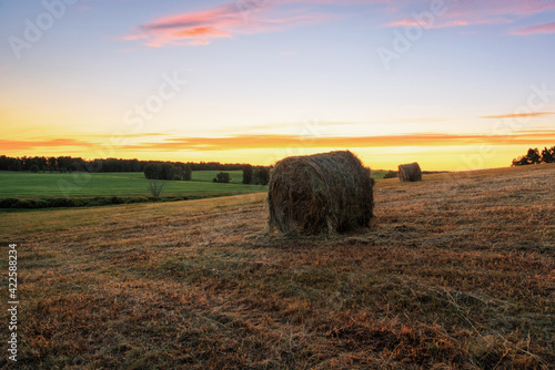 haystacks and hay making in the fields in autumn at sunset