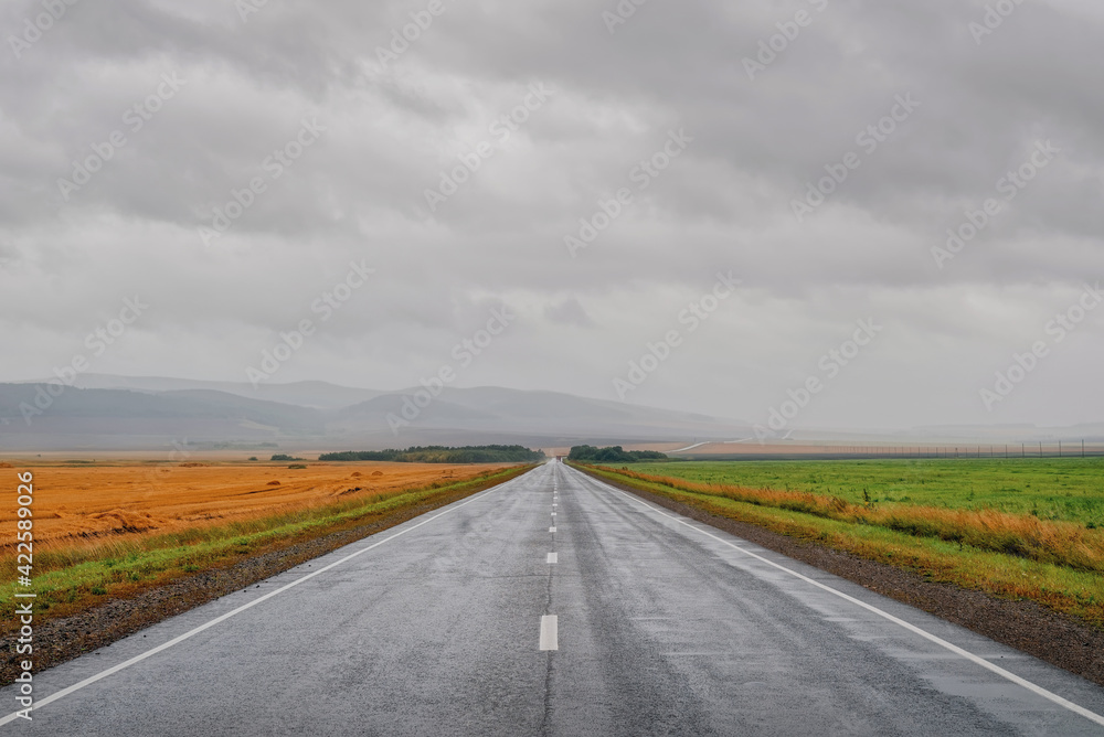 The road in the mountains and steppes in the rain one side yellow field another green sky with clouds and rain