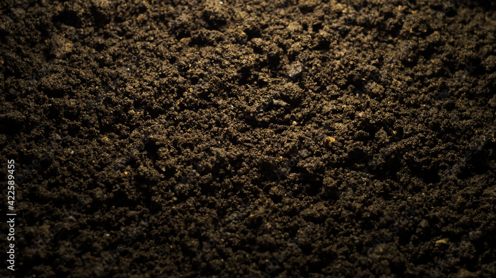 Fototapeta premium Black land for plant background.