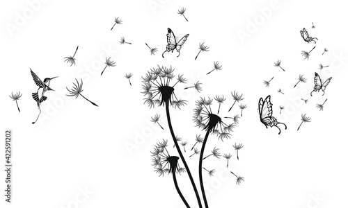 vector design element with hummingbird and butterflies