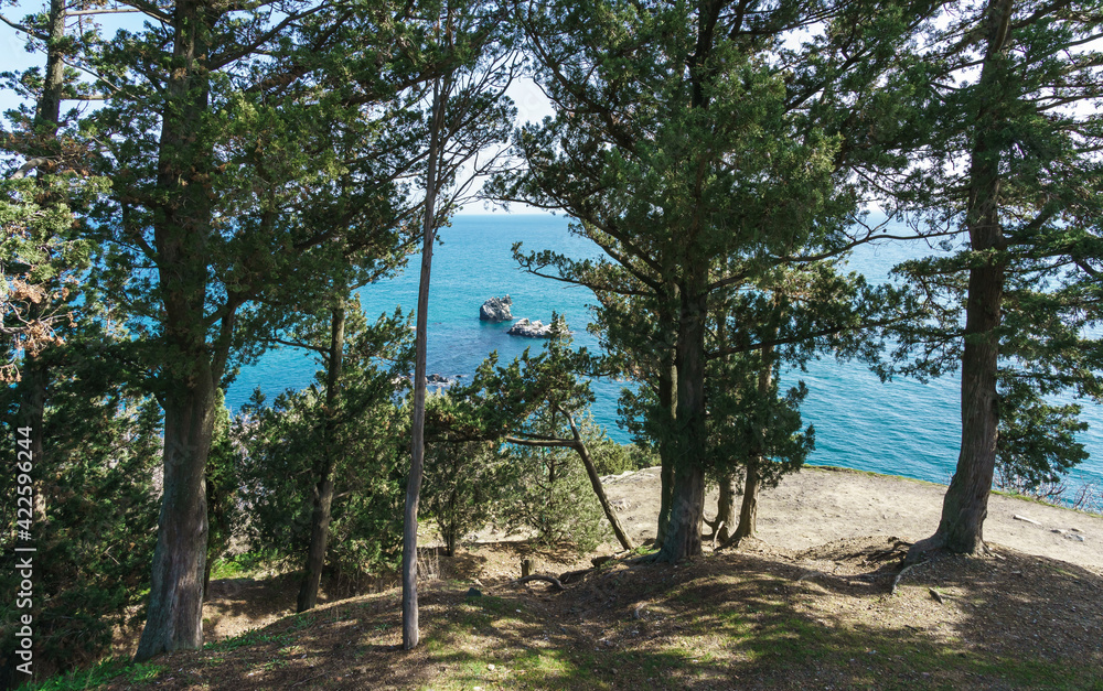 View of the blue sea with islands covered with white salt through the trees in the forest
