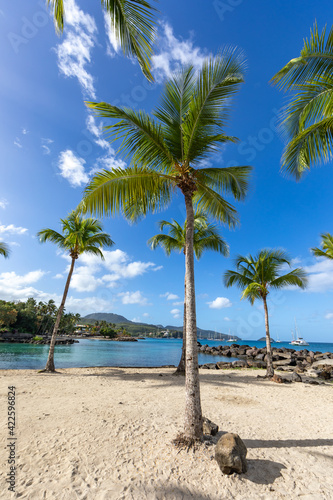 Beach of la Pointe-du-Bout - Les Trois-Ilets  Martinique  French Antilles