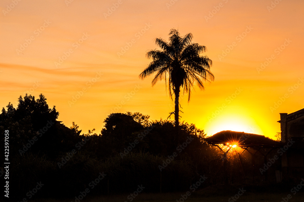 sunset in the city