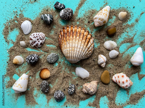 Seashells, sand, sea pebbles on a blue background.  Colorful bright summer beach composition.  Top view, flat lay, copy space.