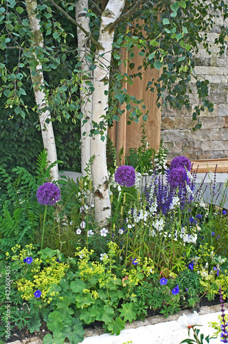 Fototapeta Naklejka Na Ścianę i Meble -  Close up detail of a flowering garden borders with alliums