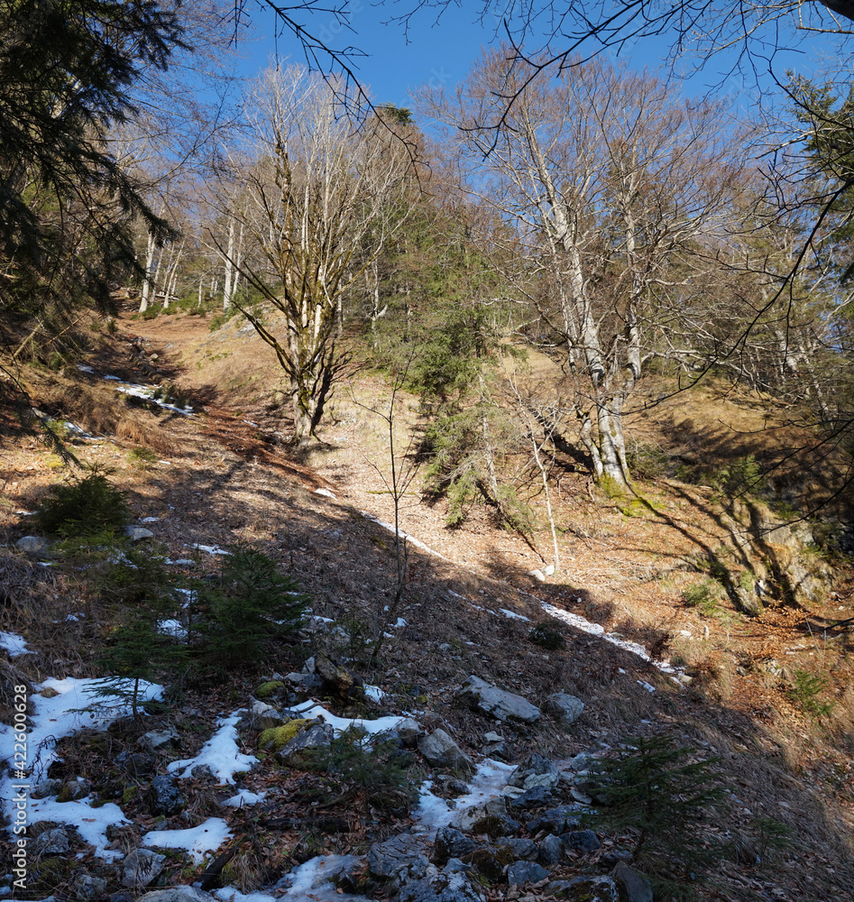 Wildes Deutschland: Bei Bayrischzell im Februar Wildes Deutschland: Bei Bayrischzell im Februar