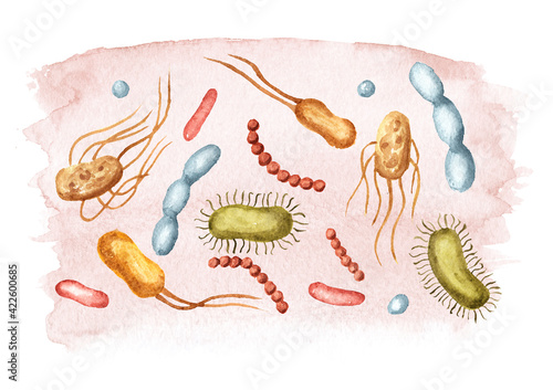 Beneficial prebiotic bacteria. Watercolor hand drawn illustration, isolated on white background
