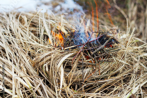 Photography Fire in the forest.