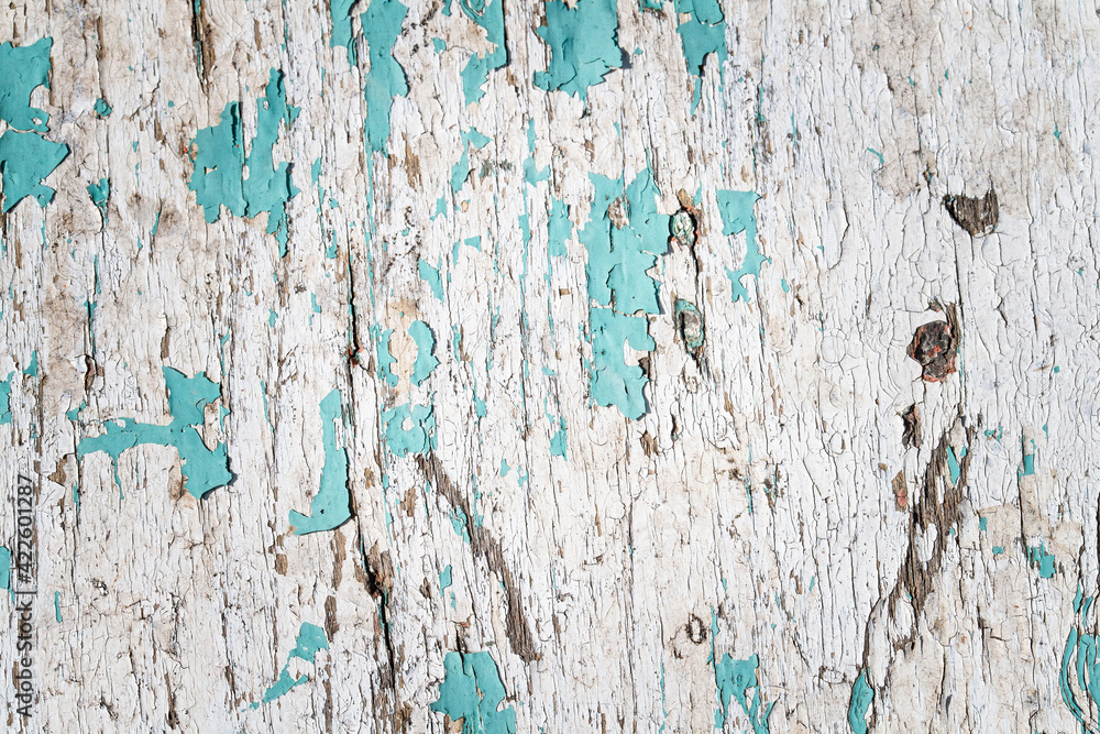 Old barnboard with teal colored peeling paint