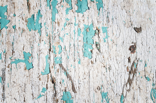 Old barnboard with teal colored peeling paint photo