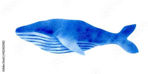Blue whale isolated on white background. Hand-drawn, print, watercolor