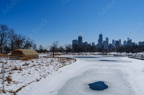winter in the park
Chicago, Illinois usa