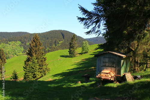 Hiking in the Harz / Wandern im Harz, Harzer Hexenstieg photo